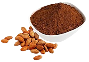 Cocoa Powder