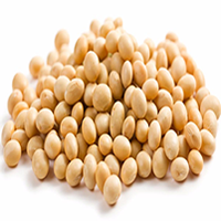 Soya Beans